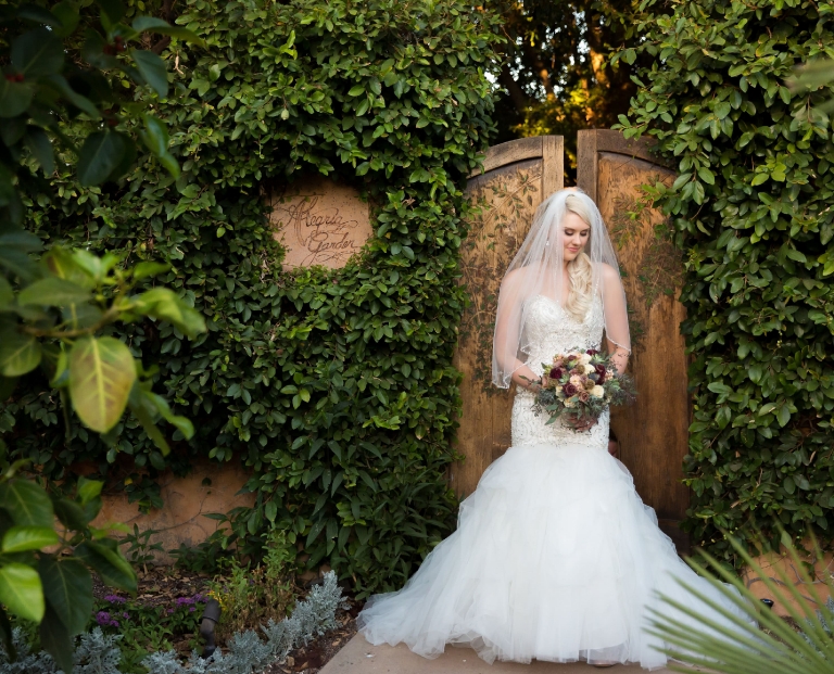 Wedding Dresses - Scottsdale, AZ  - Image 19